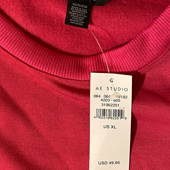 AE Studio Color Block Sweatshirt - Picture 3 of 5